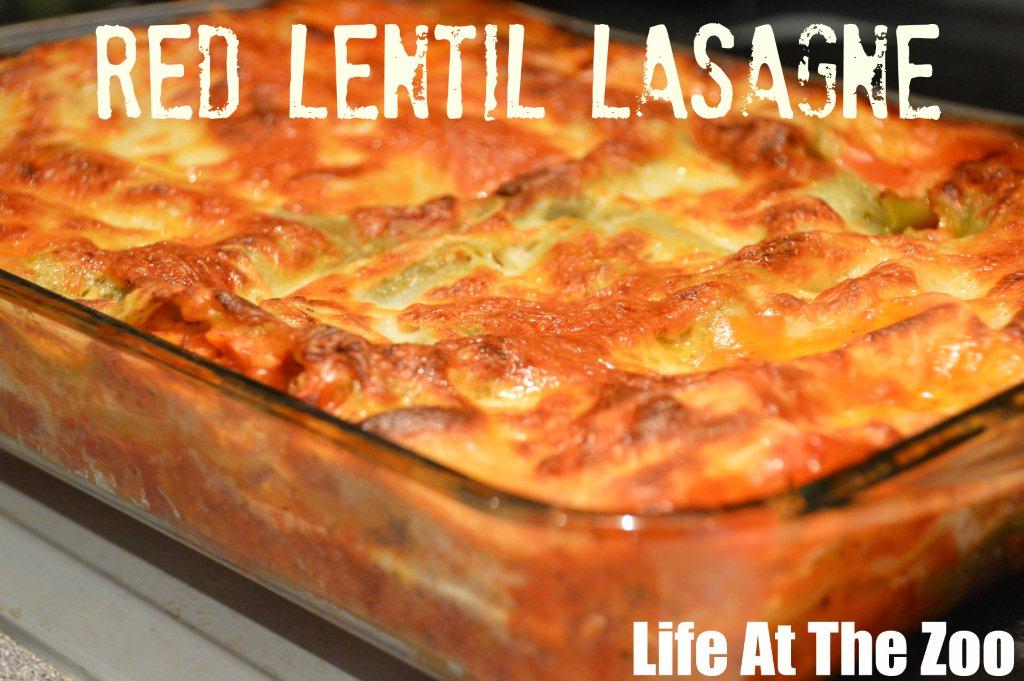 Red Lentil Lasagne Delicious Lasagna Recipes Delicious lasagna recipes the whole family will love! With over 20 delicious lasagna recipes you'll have plenty of easy dinner recipe ideas. Everything from classic lasagna to vegetarian lasagna recipes make dinner a breeze!
