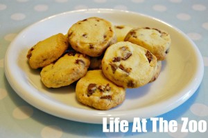 easy chocolate chip cookies no eggs