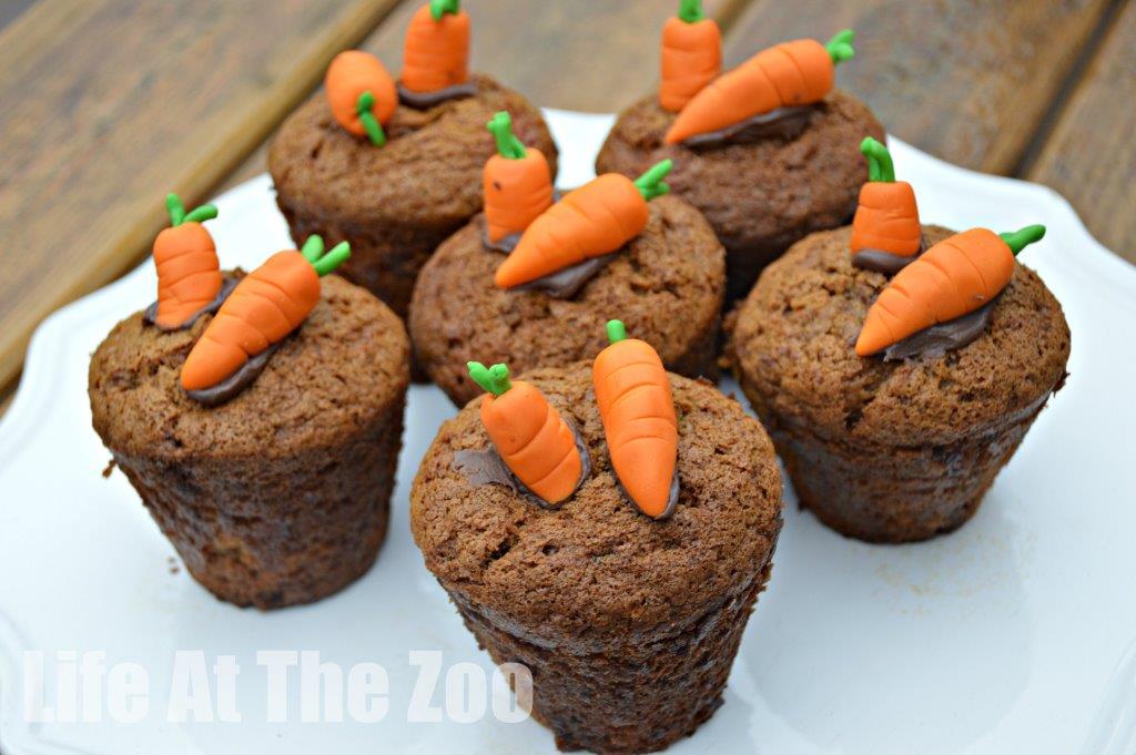 Carrot Cupcake Recipe