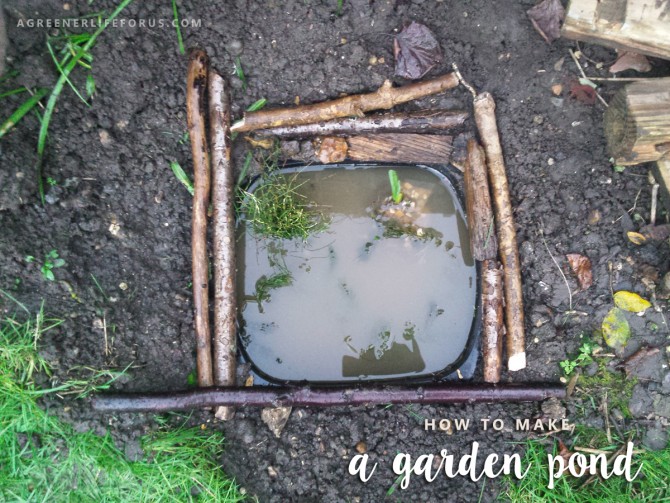 DIY Garden Ideas for Kids - make your own mini garden pond