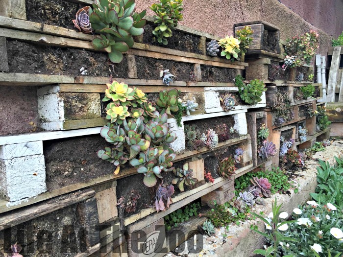 London Canal Walks - upcycled container WALL garden. So pretty!